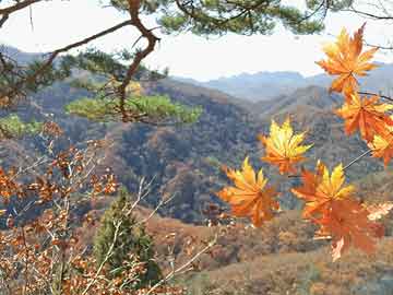 历史上的12月27日生活纪实