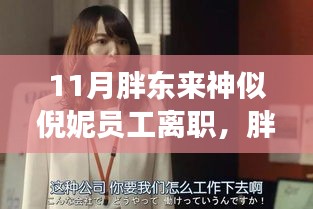 11月胖东来神似倪妮员工离职，胖东来神似倪妮员工离职事件背后的是与非