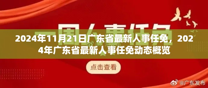 广东省最新人事任免动态概览（2024年11月21日更新）