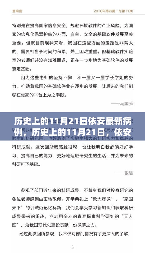 依安历史病例更新与探寻自然美景的艺术之旅，11月21日的记录与启程