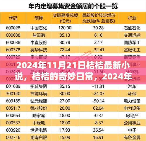 桔桔的奇妙日常，2024年11月21日的温馨探秘之旅