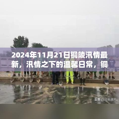 铜陵汛情之下的雨后彩虹桥，汛期温馨日常与希望之光