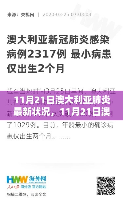 11月21日澳大利亚肺炎最新状况深度解析报告