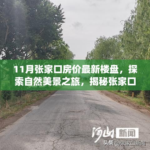 揭秘张家口最新楼盘，房价走势与探索自然美景的双重体验