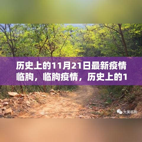 历史上的11月21日，临朐疫情的回望与反思