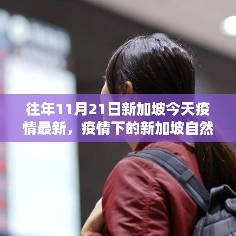 疫情下的新加坡探索之旅，自然美景与内心宁静的追寻