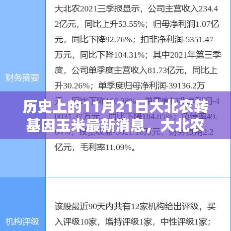 大北农转基因玉米，11月21日的历史性瞬间与最新消息揭秘