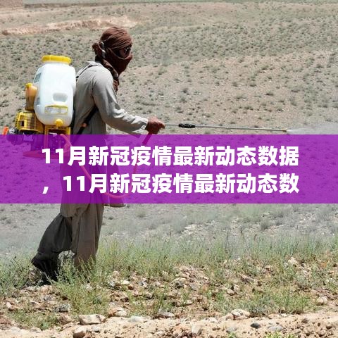 全球视角下的11月新冠疫情最新动态数据解析与应对策略探讨