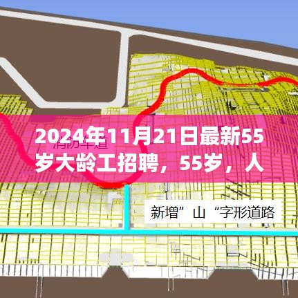 2024年11月21日最新55岁大龄工招聘，55岁，人生新旅程，寻找自然美景中的内心平静