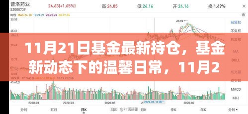 11月21日基金最新持仓动态，揭秘基金持仓之旅的温馨日常