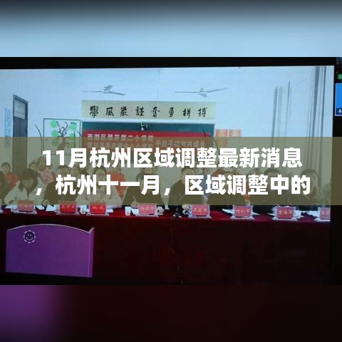 杭州区域调整最新动态，温情日常与奇妙际遇十一月一览