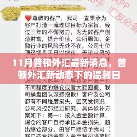 普顿外汇最新动态，温馨日常故事揭秘