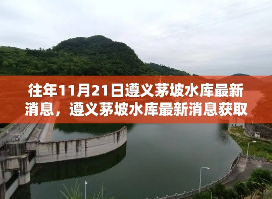 遵义茅坡水库最新消息获取指南，初学者与进阶用户适用步骤解析