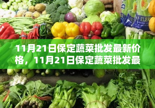 11月21日保定蔬菜批发最新价格深度解析与介绍