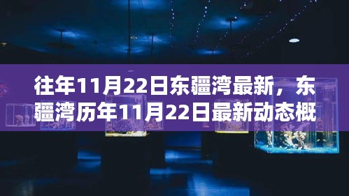 东疆湾历年11月22日最新动态概览及最新资讯解读