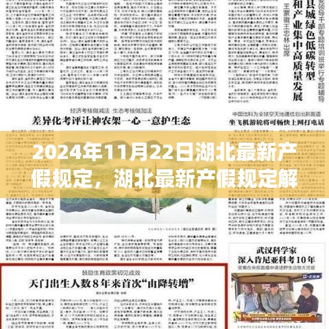 2024年11月22日湖北最新产假规定，湖北最新产假规定解析，特性、使用体验与目标用户群体分析