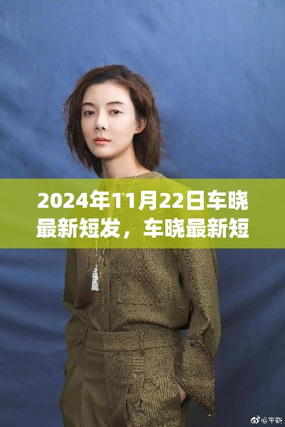 2024年11月22日车晓最新短发，车晓最新短发，变化之美，自信之光，励志之旅