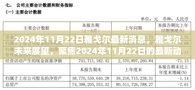 雅戈尔最新动态及展望，聚焦未来发展趋势，解读雅戈尔未来展望（2024年11月22日）