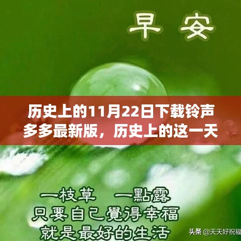 历史上的铃声多多，探寻最新版背后的故事与变迁，下载铃声多多最新版回顾