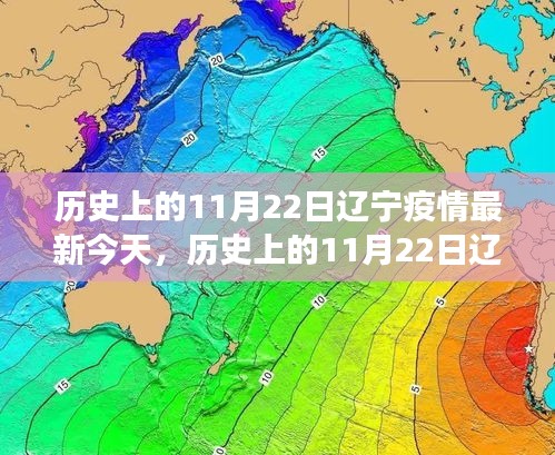 历史上的11月22日辽宁疫情演变及今日深度观察与影响分析