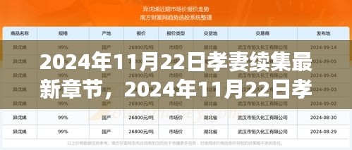 孝妻续集最新深度解析与期待，2024年最新章节展望