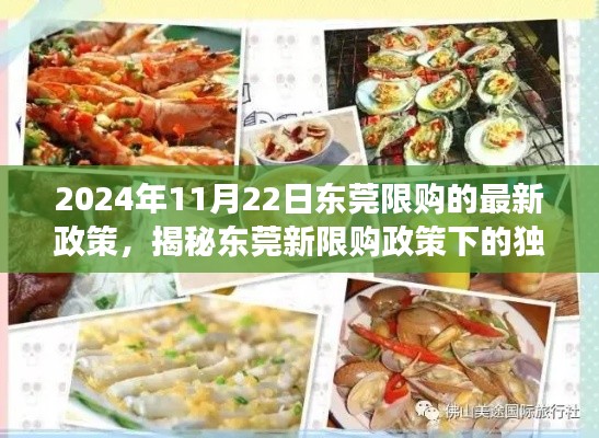 东莞新限购政策下的美食探索，味蕾盛宴与独特小巷宝藏