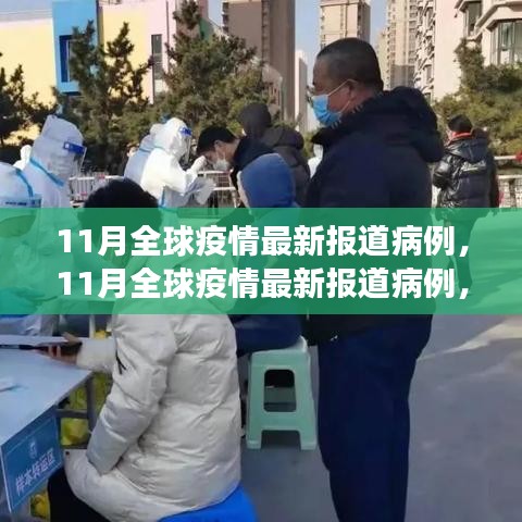 全球疫情最新动态，11月病例报告与关键数据分析及抗疫进展综述