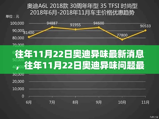 往年11月22日奥迪异味最新消息解析与应对指南