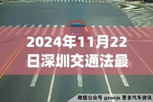 深圳交通法新篇章启示，拥抱变化，自信前行（2024年11月22日最新规定）