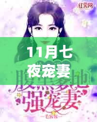 11月七夜宠妻全文免费阅读指南及最新章节获取