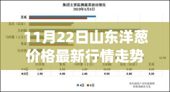 山东洋葱最新行情下的温情日常与友情故事，葱香里的故事传递温情，山东洋葱价格走势揭秘