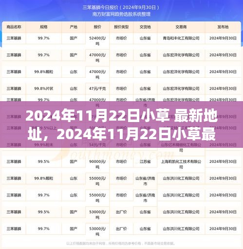 探索绿色数字世界的最新动态，2024年11月22日小草最新地址揭秘