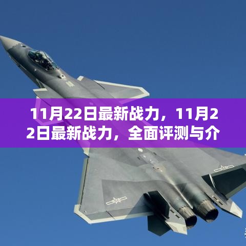 最新战力评测与介绍，全面解析11月22日更新