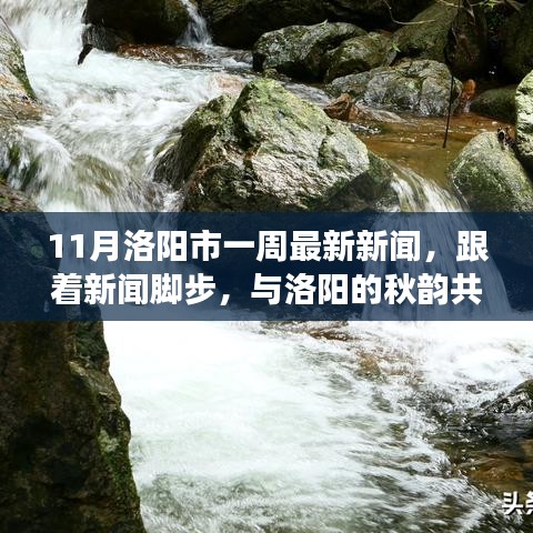 洛阳秋韵与新闻脚步，11月一周最新资讯及自然美景探索之旅