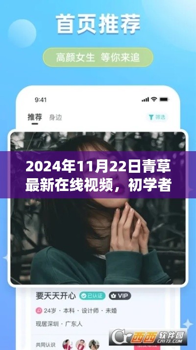 2024年11月22日青草在线视频观看指南，从初学者到进阶用户的全面教程