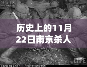 南京杀人事件深度解析，最新进展与历史的回顾与评测（11月22日）