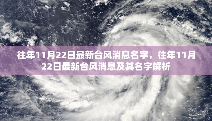 往年11月22日最新台风消息与名字解析报告