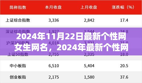 2024年女生潮流网名指南，最新个性网女生网名精选