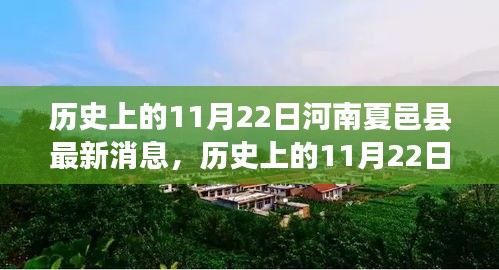 历史上的11月22日河南夏邑县事件回顾与最新消息一览