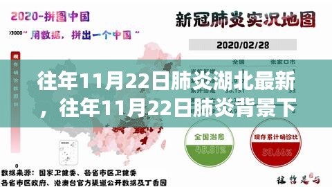 湖北地区肺炎背景下相关产品深度评测与介绍，历年11月22日最新观察报告