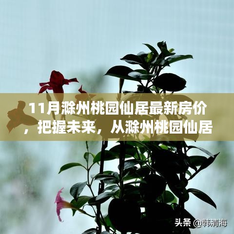 滁州桃园仙居最新房价动态，探寻未来价值，实现梦想起航