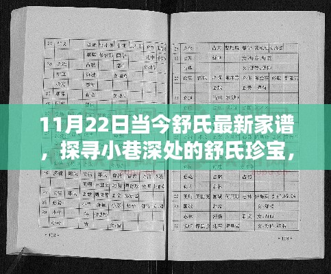 探寻小巷深处的舒氏珍宝，最新家谱下的独特风情小店（11月22日）