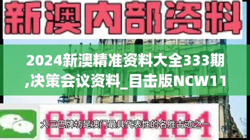 2024新澳精准资料大全333期,决策会议资料_目击版NCW11.69