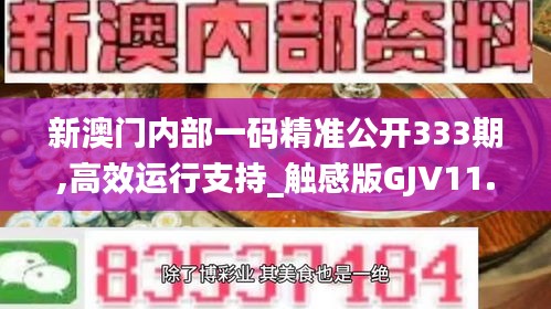 新澳门内部一码精准公开333期,高效运行支持_触感版GJV11.99