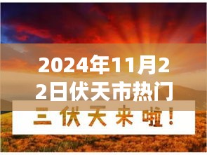 伏天市日常，暖阳下的友情与家的温馨（2024年伏天市热门章节精选）