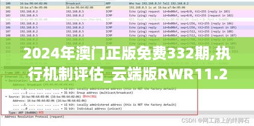 2024年澳门正版免费332期,执行机制评估_云端版RWR11.24