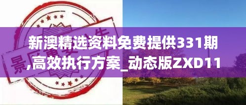 新澳精选资料免费提供331期,高效执行方案_动态版ZXD11.79