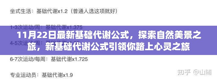 新基础代谢公式引领的自然美景探索之旅，11月22日最新公式揭秘心灵之旅启程点