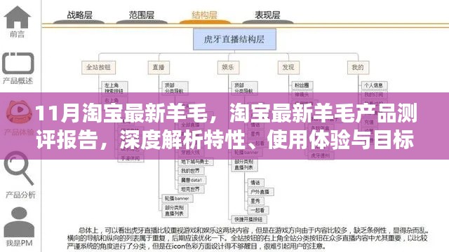 淘宝最新羊毛产品测评报告，深度解析特性、体验与目标用户分析