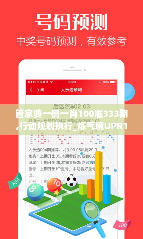 管家婆一码一肖100准333期,行动规划执行_炼气境UPR11.28